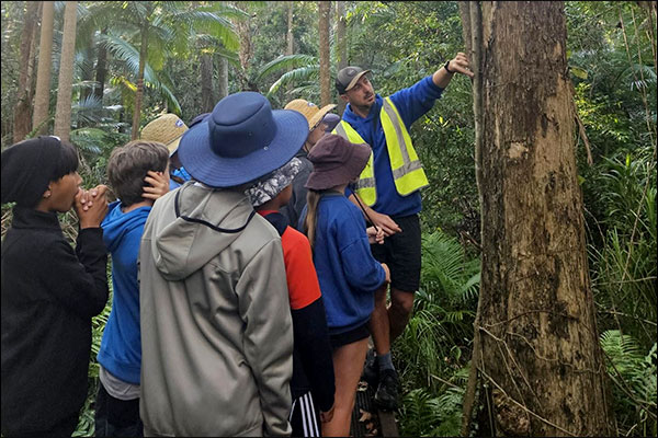 Year 6 students in nature